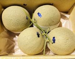 の*こ様 高知産 約8，4kg～ 夜須の温室マスクメロン 4玉 ○秀品