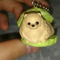 いぬぱんのサムネイル