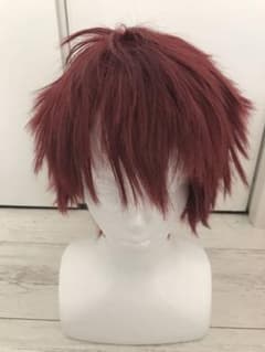 キャラウィッグ 咲也のサムネイル