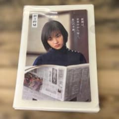 朝日新聞 クリアファイル 複数枚セット　田中麗奈のサムネイル