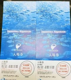 新江ノ島水族館チケット優待券2枚ペア　2021年4月30日迄有効　制限なしのサムネイル