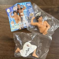体格ブラザーズ ビッグボディー コレクション 平子さんのサムネイル