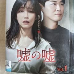 嘘の嘘 DVD 韓国ドラマ 全巻 イ・ユリ ヨン・ジョンフン イ・イルファ