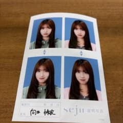向井怜 依 seju 証明写真のサムネイル