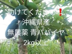 沖縄県産無農薬青パパイヤ2kg以上のサムネイル