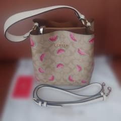 COACH＊コーチ＊スイカ柄スモールタウンバケット2wayショルダー