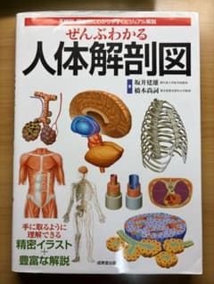 ぜんぶわかる 人体解剖図のサムネイル