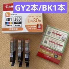 Canon純正インクGY2/BK1のサムネイル