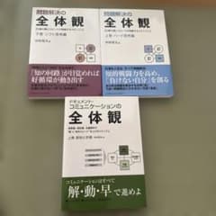 【上下巻セット】問題解決の全体観 、 ドキュメント•コミュニケーションの全体感のサムネイル