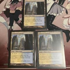 MTG神聖なる泉英語版3枚のサムネイル