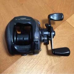 ダイワリールのサムネイル