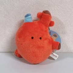 FANS にんげんのからだ ぬいぐるみ マスコット 心臓 ボールチェーン付き