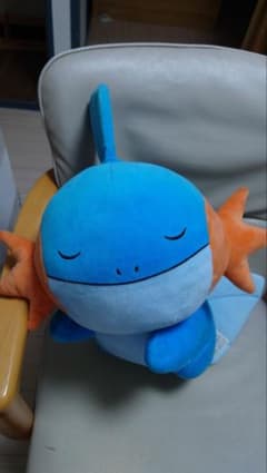 ミズゴロウ すやすや ぬいぐるみ ポケモンセンター限定 タグ付きのサムネイル