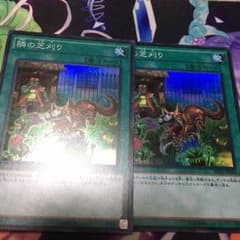 隣の芝刈り 2枚セットのサムネイル