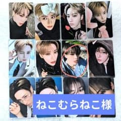 ねこむらねこ様専用ページ アルノ ALD1 トレカのサムネイル