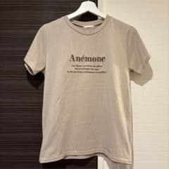 Anémone 로고 반소매 티셔츠 베이지