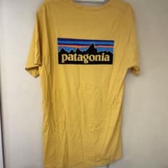 Patagonia Tシャツ イエロー 半袖のサムネイル