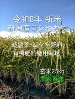 農家直送令和8年新米新潟産コシヒカリ玄米25kg(袋込)のサムネイル