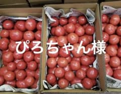 ぴろちゃん様　麗夏トマト　5kのサムネイル