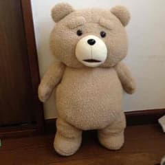 テッドのサムネイル