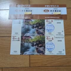 ナガシマリゾート 株主優待券 湯あみの島招待券セット - メルカリ