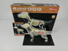 4D VISION FULL SKELETON MODEL DOGのサムネイル