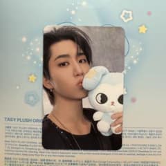 翌日発送　Stray Kids Tasy ぬいぐるみ トレカセット stray kids TASY ぬい封入 トレカ ハン - メルカリ