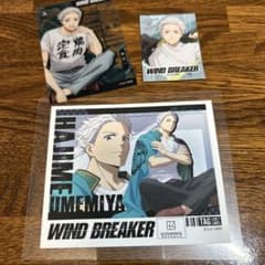 WIND BREAKER 라벨 캔 우메노미야 이치 카드 스티커 세트