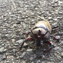 ニトリ工房様専用のサムネイル