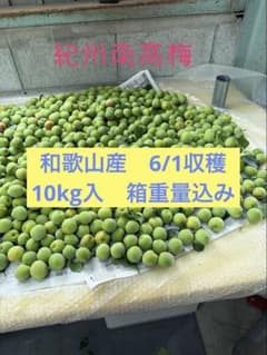 激安！今だけ！和歌山産　南高梅　10kg 訳あり品　傷や斑点有りのサムネイル
