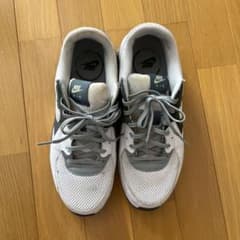 NIKE AIR MAX ホワイト/グレーのサムネイル