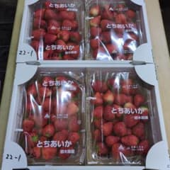 とちあいか　規格外約2.4kg　1のサムネイル