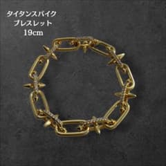 タイタンスパイク ブレスレット ゴールド 登坂広臣 omi 19cm - メルカリ