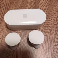 Microsoft Surface Earbuds (ライトグレー)のサムネイル