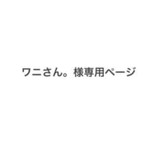 ワニさん。様専用ページのサムネイル