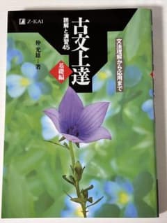 【最終値下げ】古文上達 読解と演習45 基礎編 仲光雄 Z会のサムネイル