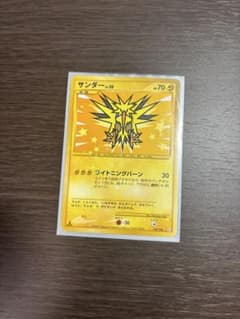 サンダー LV.30（みんなにうれしいキャンペーン） [旧裏面]のサムネイル