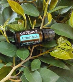 ❗️新品 未開封 最安帯】ドテラ アロマタッチ 15ml 期限28年代 後半