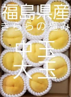 2 もうすぐ終了 甘いです 福島県産 きららの極み 3kg 桃 訳あり わけありのサムネイル