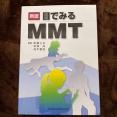 目でみるMMTのサムネイル