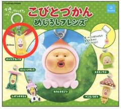 こびとづかん めじるしフレンズ ホトケアカバネのサムネイル