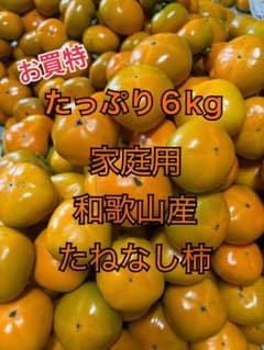 ☆【家庭用】和歌山産 たねなし柿 たっぷり6kgのサムネイル