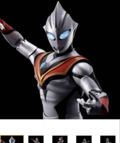 [신품 미개봉]SHFiguarts 진골 조각법 이빌티가