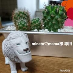 みなとmama様 専用のサムネイル