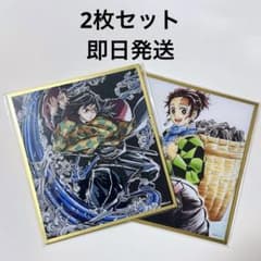 新品未開封】鬼滅の刃 webshopくじ アクリル色紙 冨岡義勇 C45 2枚