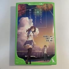 발사 불꽃놀이, 아래에서 볼까? 옆에서 볼까? 이와이 슌지