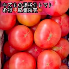 塩トマトのできる土壌の訳あり桃太郎トマト 4キロ 数量限定 規格外トマト熊本のサムネイル
