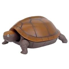 高速ガメ　ニホンイシガメのサムネイル