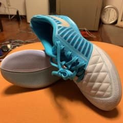 NIKE ルナガト2 24.5cmのサムネイル