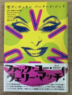 【初版本】【絶版】聖ディヴァイン　バーナード ジェイ　ピンクフラミンゴ 初版帯付き】バーナード・ジェイ著『聖ディヴァイン』 - メルカリ